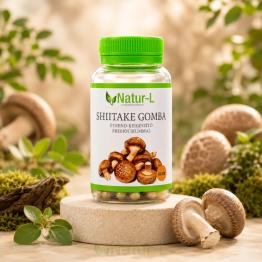 SHIITAKE GOMBA - Tápanyaggazdag koleszterincsökkentő