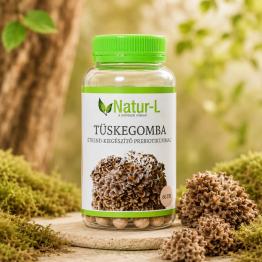 TÜSKEGOMBA - A folyadékháztartás egyensúlyáért