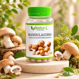 MANDULAGOMBA - A hosszú élet gombája