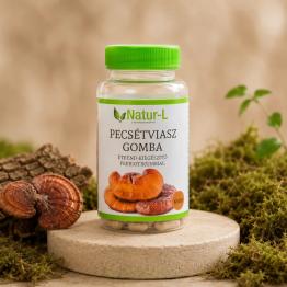 PECSÉTVIASZGOMBA (GANODERMA) - A legsokoldalúbb gyógygomba
