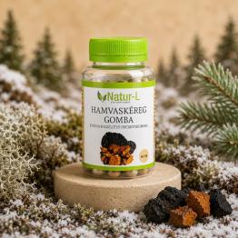 HAMVASKÉREG (CHAGA) GOMBA - A fagyos észak gyógygombája