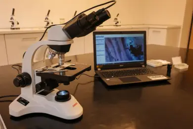 Étrend-kiegészítő analitikai vizsgálat: Mit vizsgálnak a laboratóriumok?