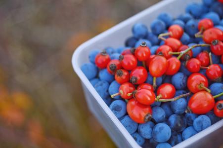 Mikor nem hat egy étrend-kiegészítő? – 5 gyakori hiba